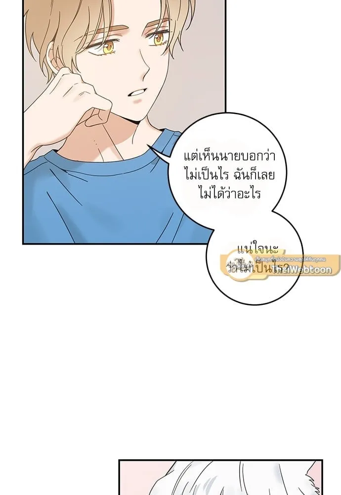 My One and Only Cat ตอนที่ 6339 My One and Only Cat ตอนที่ 6339