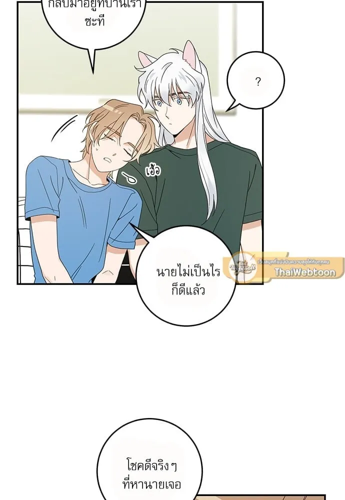 My One and Only Cat ตอนที่ 6341 My One and Only Cat ตอนที่ 6341