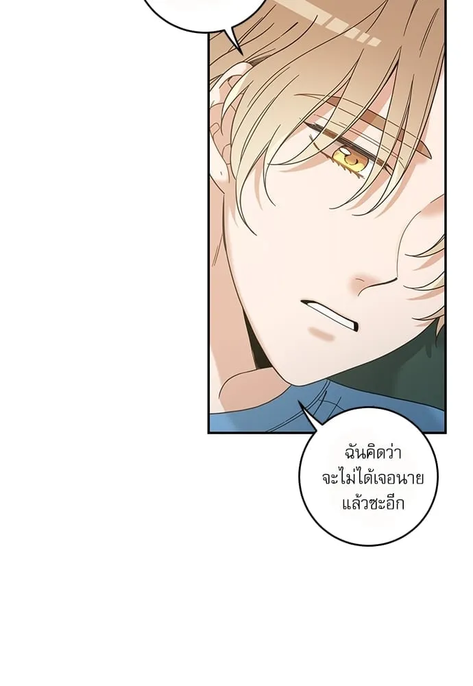 My One and Only Cat ตอนที่ 6342 My One and Only Cat ตอนที่ 6342