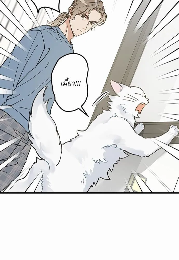 My One and Only Cat ตอนที่ 6344