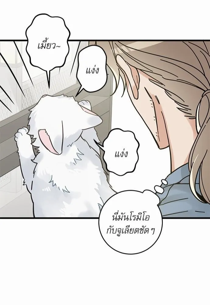 My One and Only Cat ตอนที่ 6345