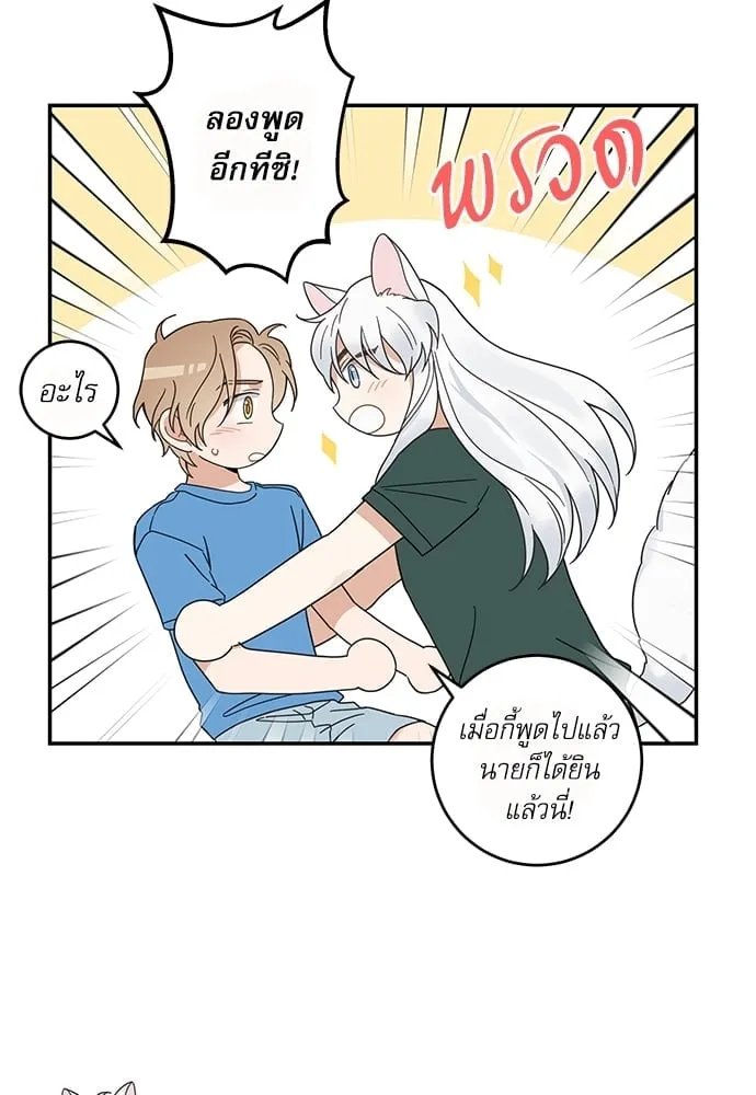 My One and Only Cat ตอนที่ 6346 My One and Only Cat ตอนที่ 6346