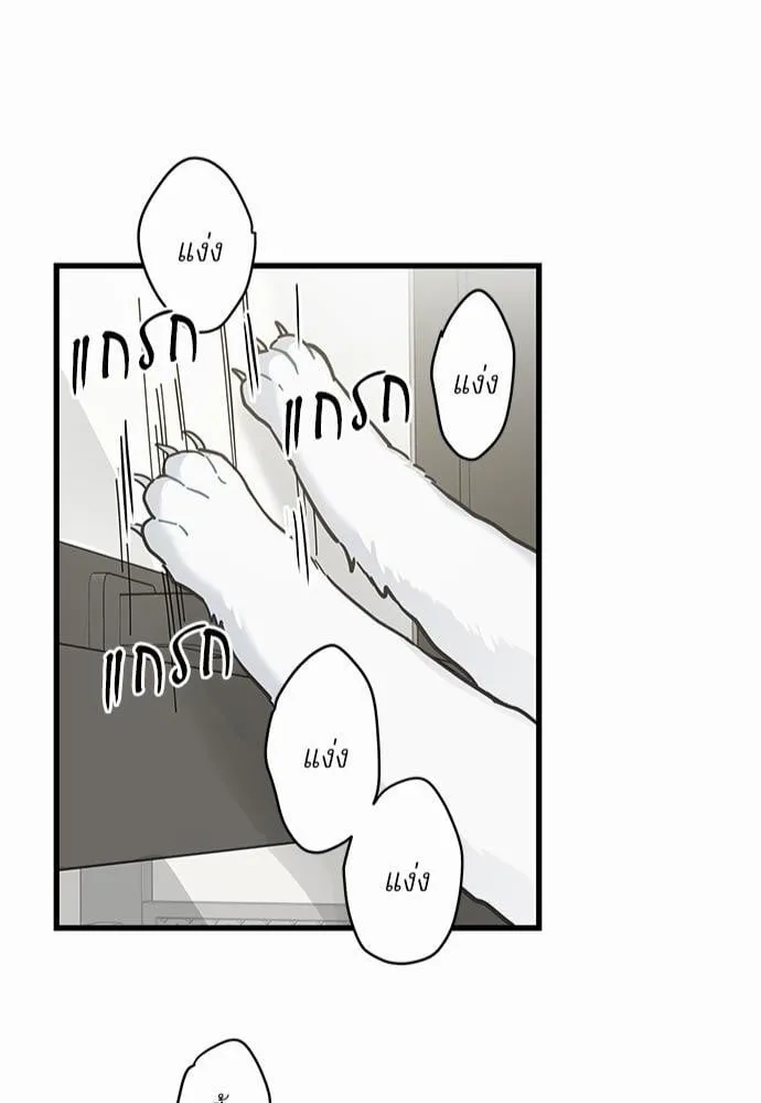 My One and Only Cat ตอนที่ 6346