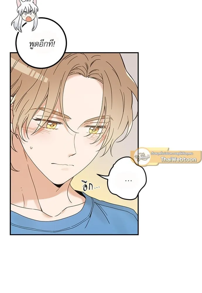 My One and Only Cat ตอนที่ 6347 My One and Only Cat ตอนที่ 6347