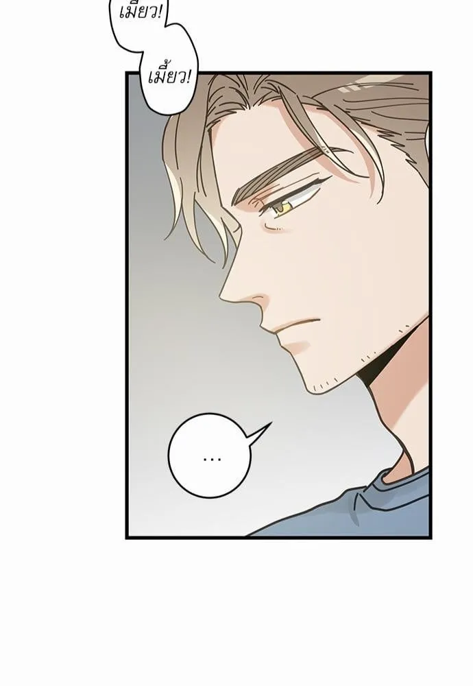 My One and Only Cat ตอนที่ 6347