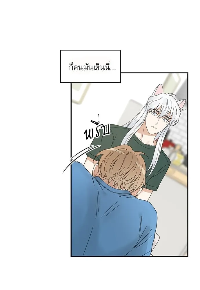 My One and Only Cat ตอนที่ 6348 My One and Only Cat ตอนที่ 6348