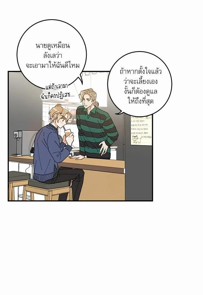 My One and Only Cat ตอนที่ 635 My One and Only Cat ตอนที่ 635