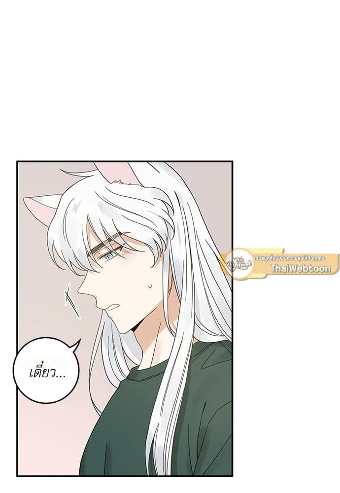 My One and Only Cat ตอนที่ 6351 My One and Only Cat ตอนที่ 6351