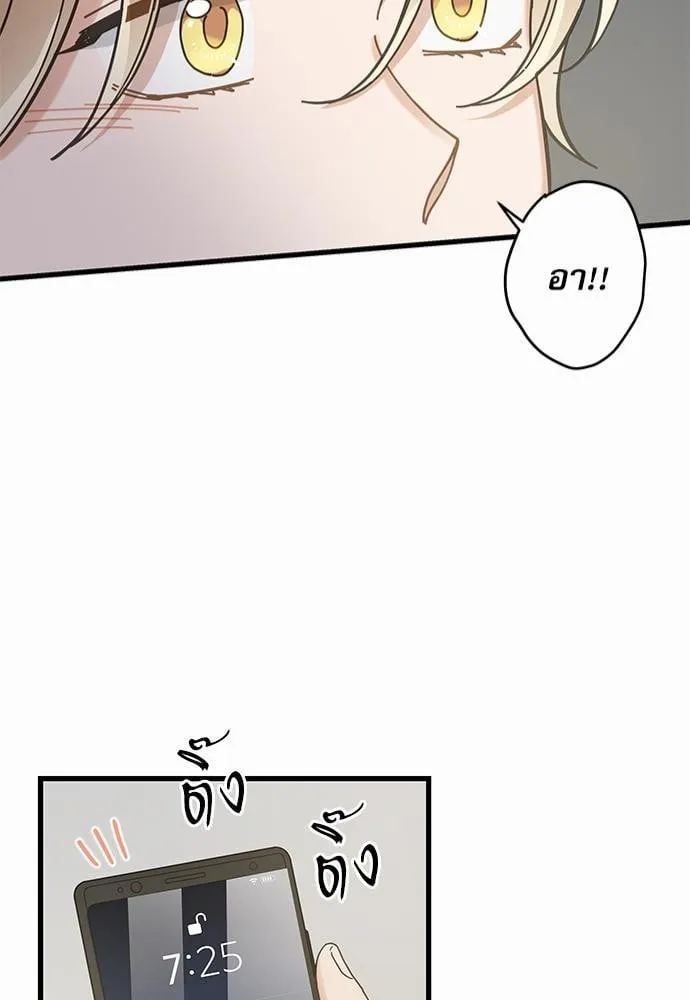 My One and Only Cat ตอนที่ 6351