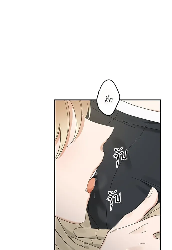 My One and Only Cat ตอนที่ 6352 My One and Only Cat ตอนที่ 6352