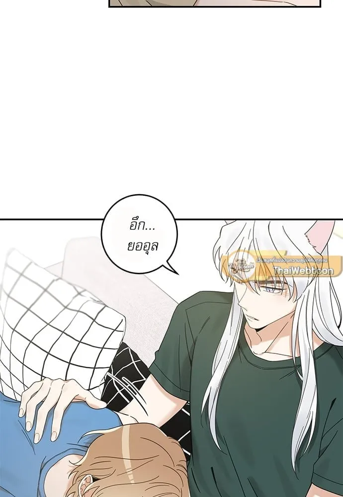 My One and Only Cat ตอนที่ 6353 My One and Only Cat ตอนที่ 6353