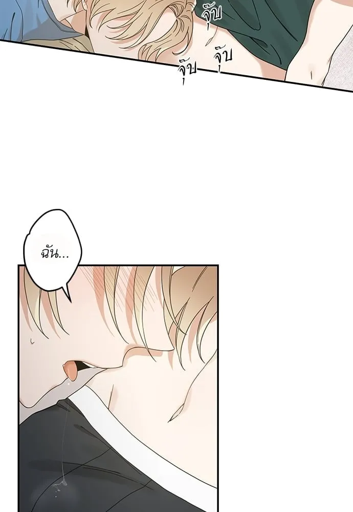 My One and Only Cat ตอนที่ 6354 My One and Only Cat ตอนที่ 6354