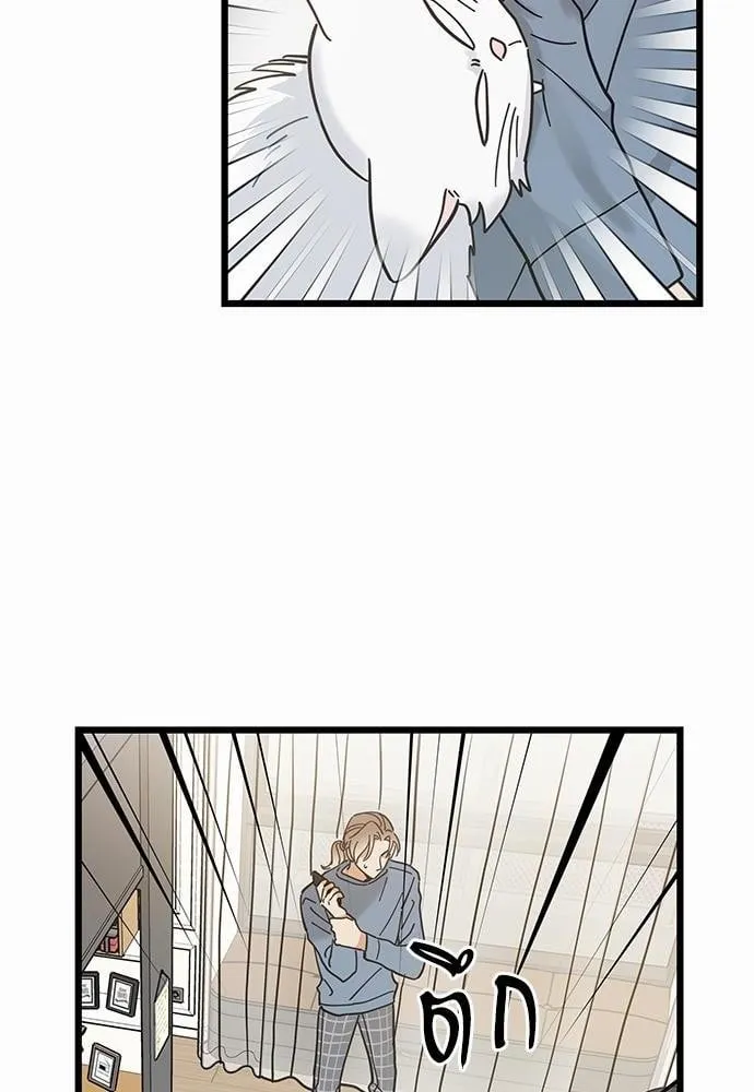 My One and Only Cat ตอนที่ 6357