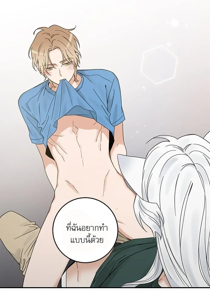 My One and Only Cat ตอนที่ 6358 My One and Only Cat ตอนที่ 6358