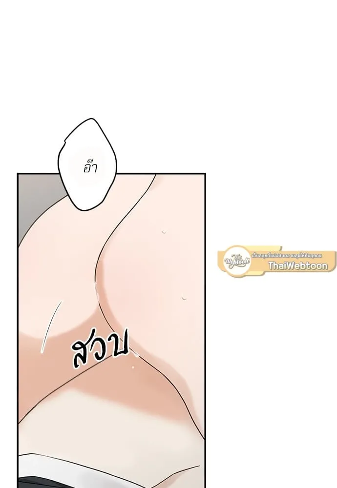 My One and Only Cat ตอนที่ 6359 My One and Only Cat ตอนที่ 6359