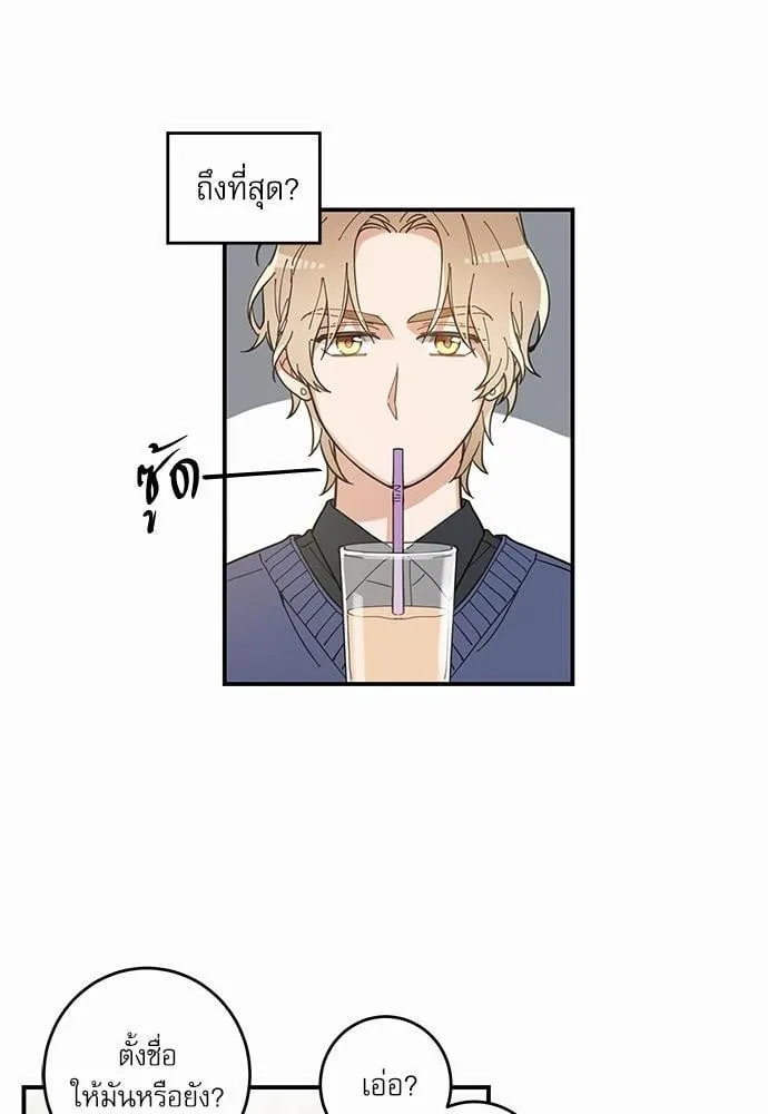 My One and Only Cat ตอนที่ 636 My One and Only Cat ตอนที่ 636