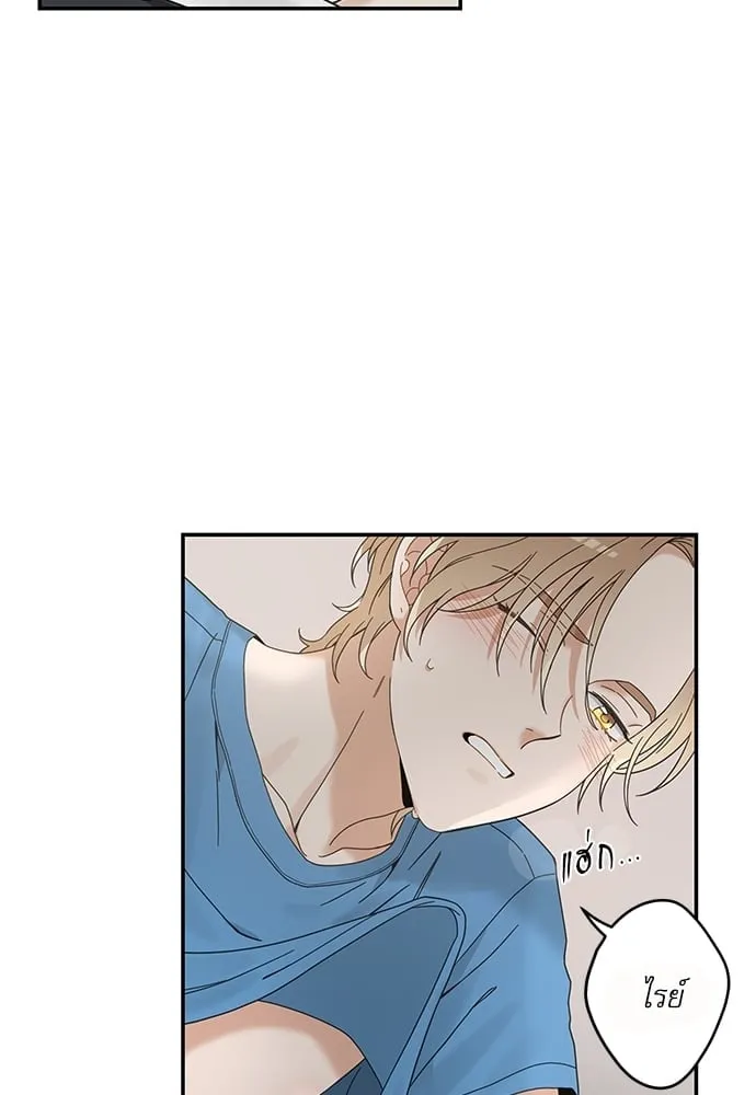 My One and Only Cat ตอนที่ 6360 My One and Only Cat ตอนที่ 6360