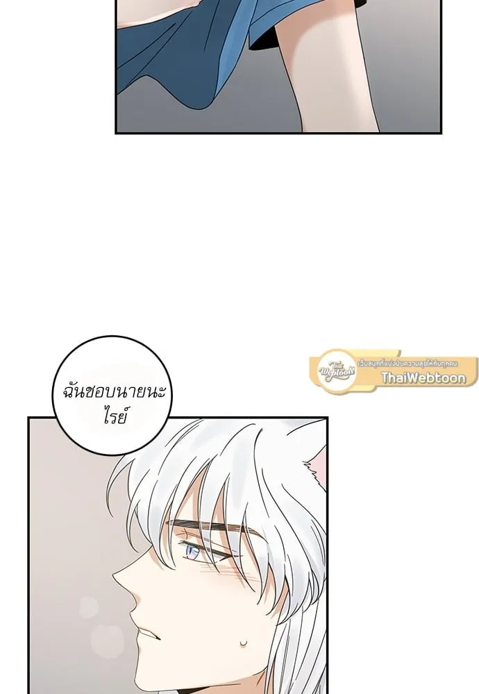 My One and Only Cat ตอนที่ 6361 My One and Only Cat ตอนที่ 6361