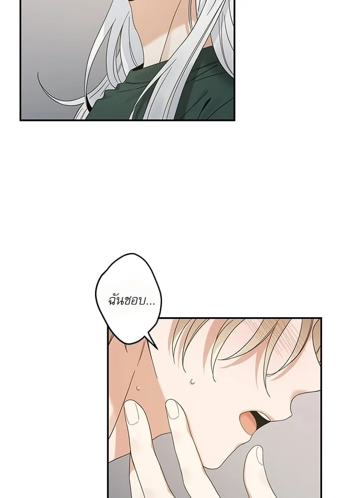 My One and Only Cat ตอนที่ 6362 My One and Only Cat ตอนที่ 6362