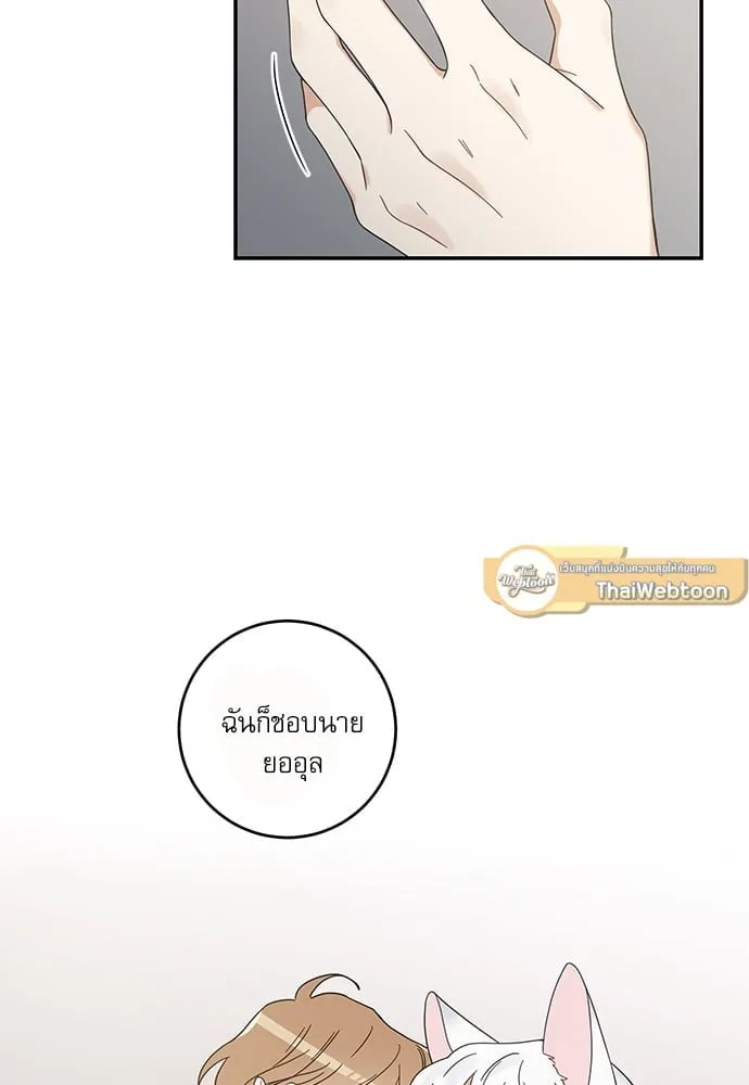 My One and Only Cat ตอนที่ 6363 My One and Only Cat ตอนที่ 6363