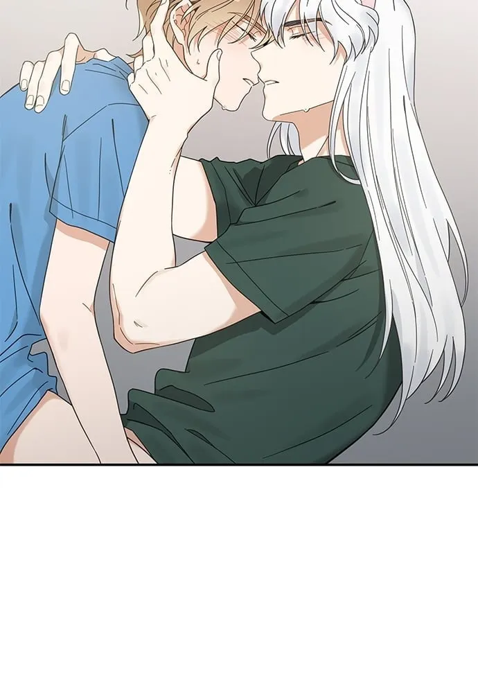 My One and Only Cat ตอนที่ 6364 My One and Only Cat ตอนที่ 6364