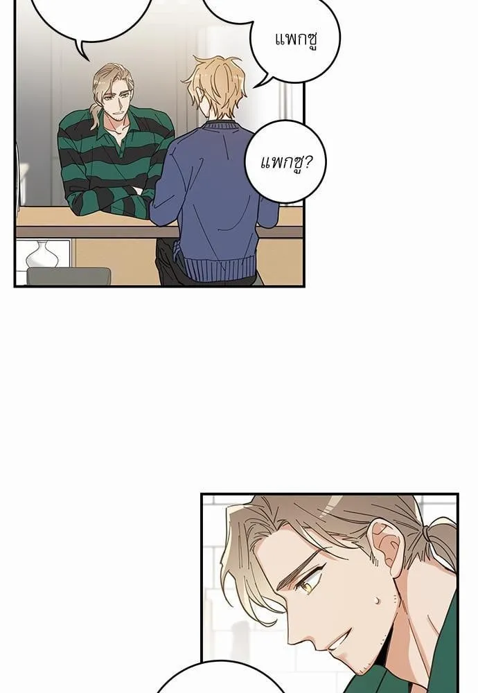 My One and Only Cat ตอนที่ 637 My One and Only Cat ตอนที่ 637