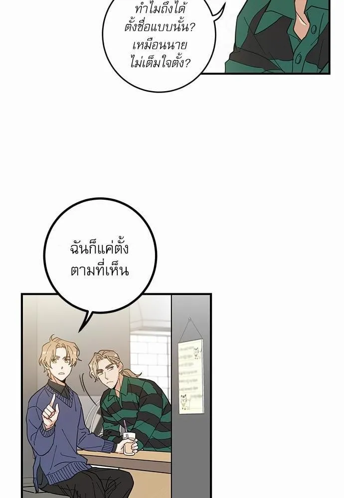 My One and Only Cat ตอนที่ 638 My One and Only Cat ตอนที่ 638