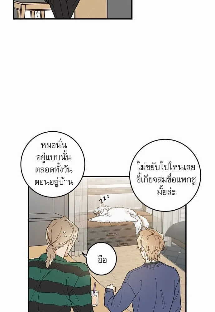 My One and Only Cat ตอนที่ 639 My One and Only Cat ตอนที่ 639