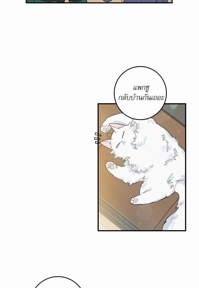 My One and Only Cat ตอนที่ 640 My One and Only Cat ตอนที่ 640