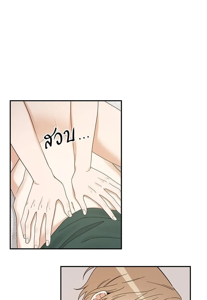 My One and Only Cat ตอนที่ 6404