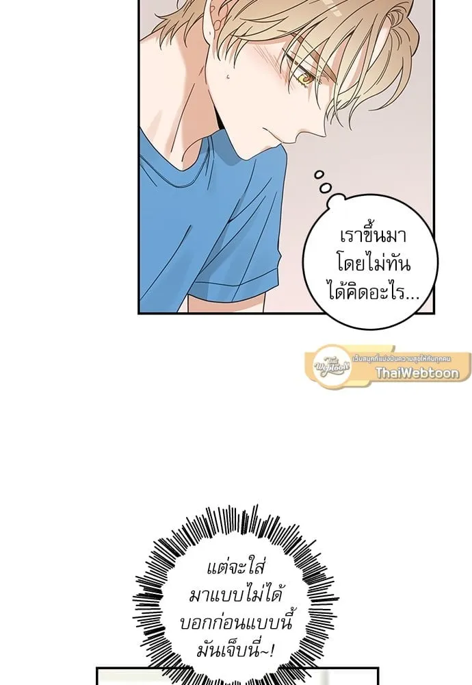 My One and Only Cat ตอนที่ 6405