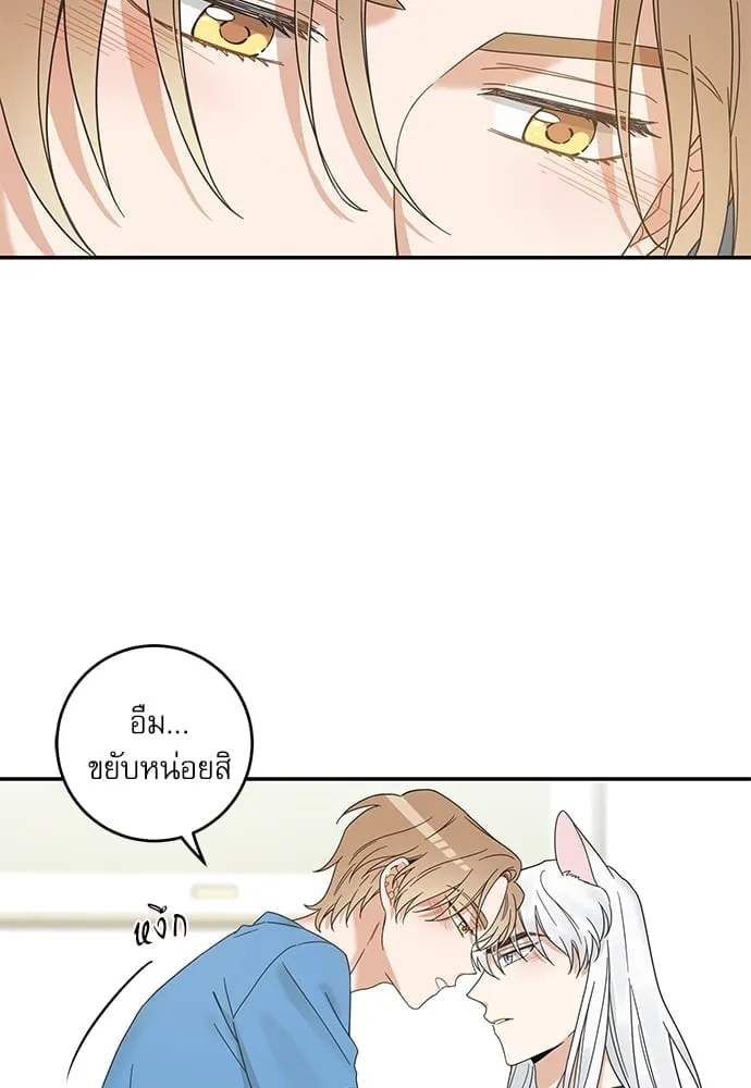 My One and Only Cat ตอนที่ 6408