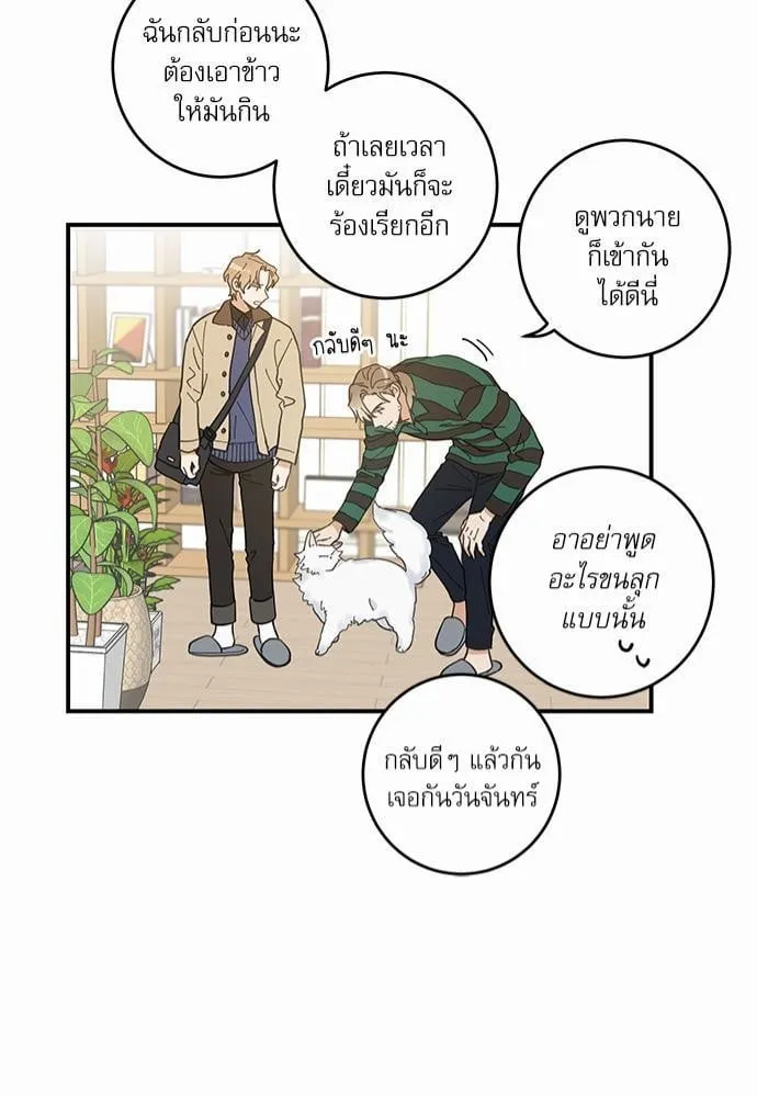 My One and Only Cat ตอนที่ 641 My One and Only Cat ตอนที่ 641