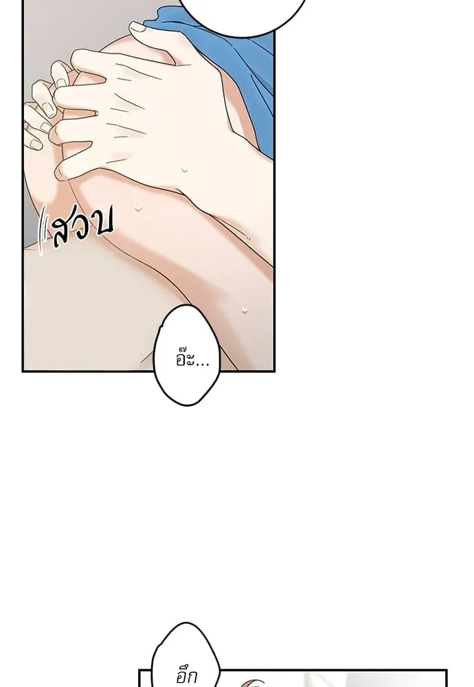 My One and Only Cat ตอนที่ 6410