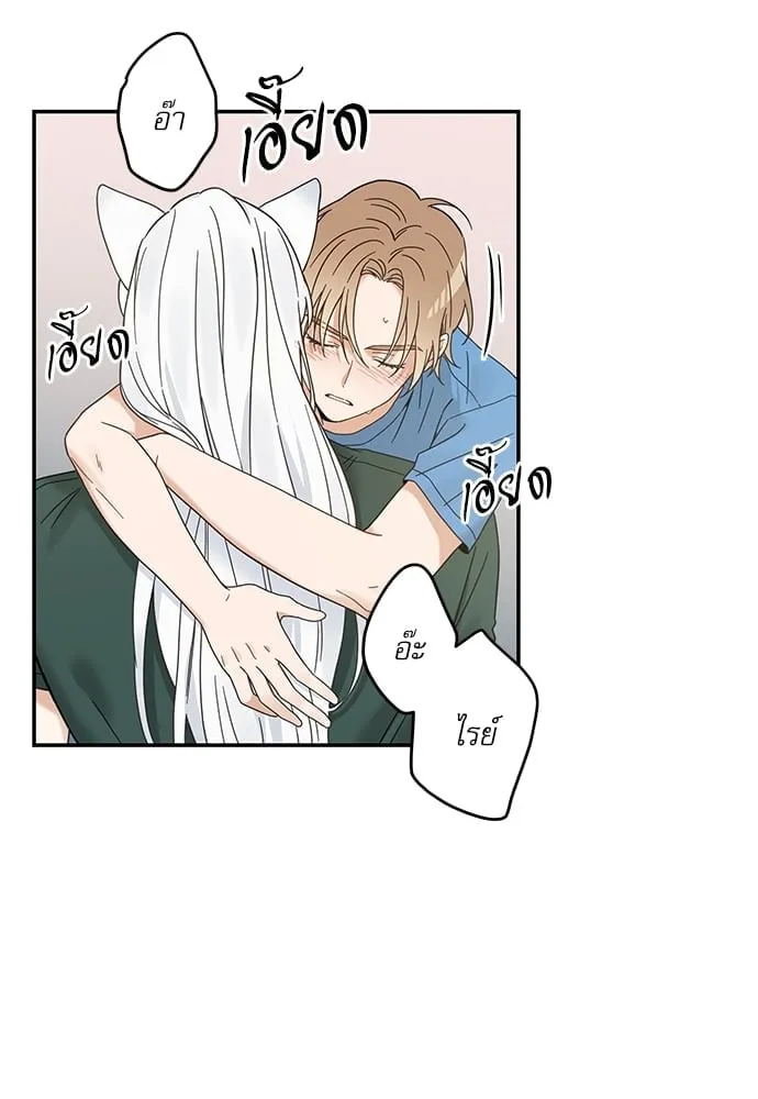 My One and Only Cat ตอนที่ 6412