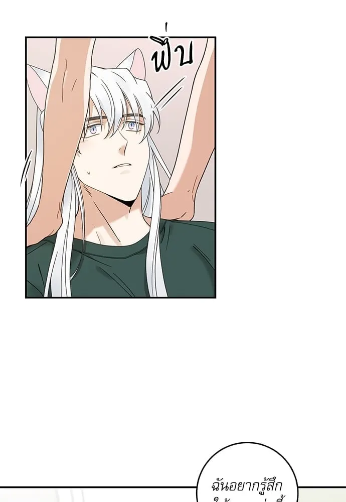 My One and Only Cat ตอนที่ 6414