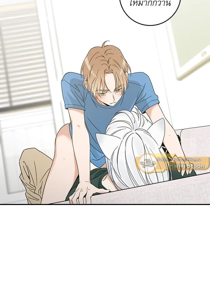 My One and Only Cat ตอนที่ 6415