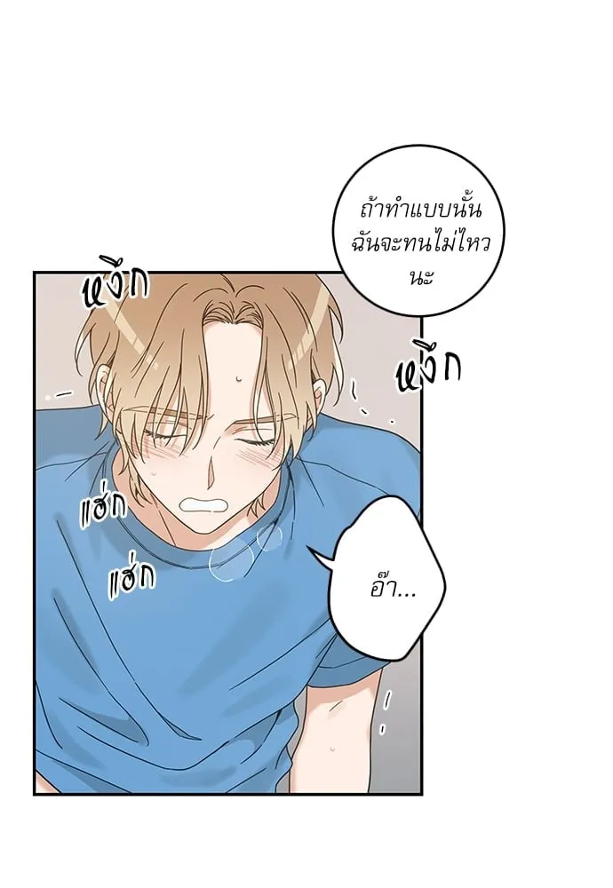 My One and Only Cat ตอนที่ 6418