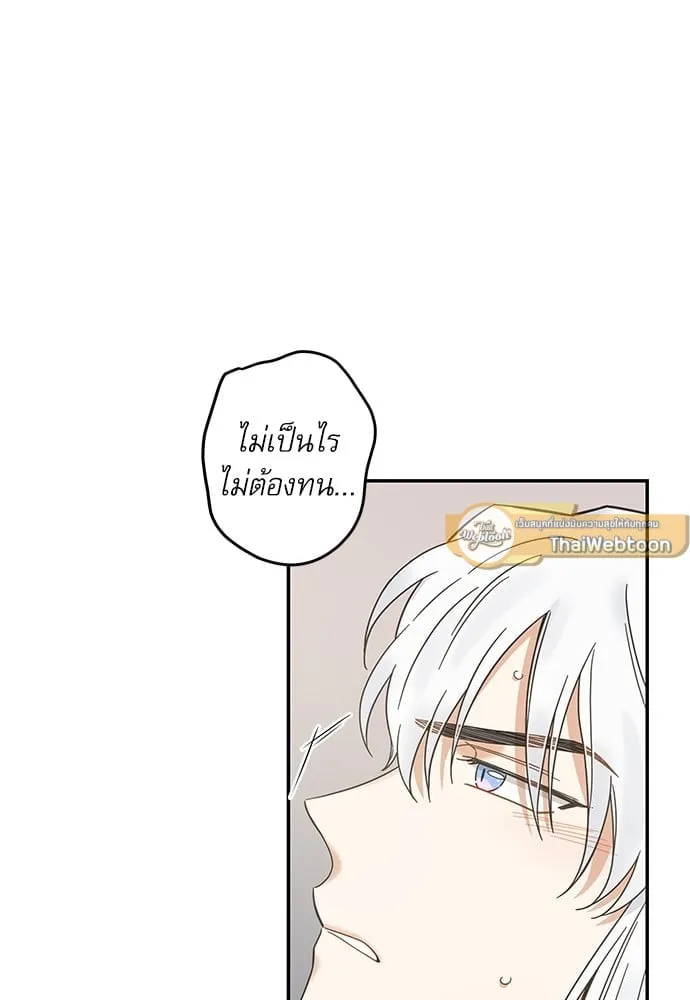 My One and Only Cat ตอนที่ 6419