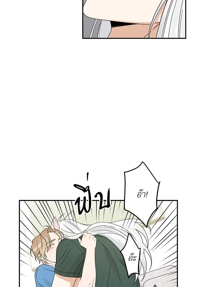 My One and Only Cat ตอนที่ 6420