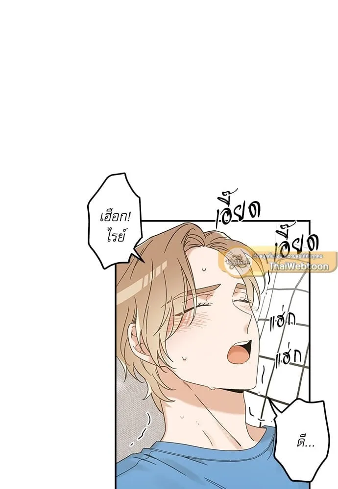 My One and Only Cat ตอนที่ 6423