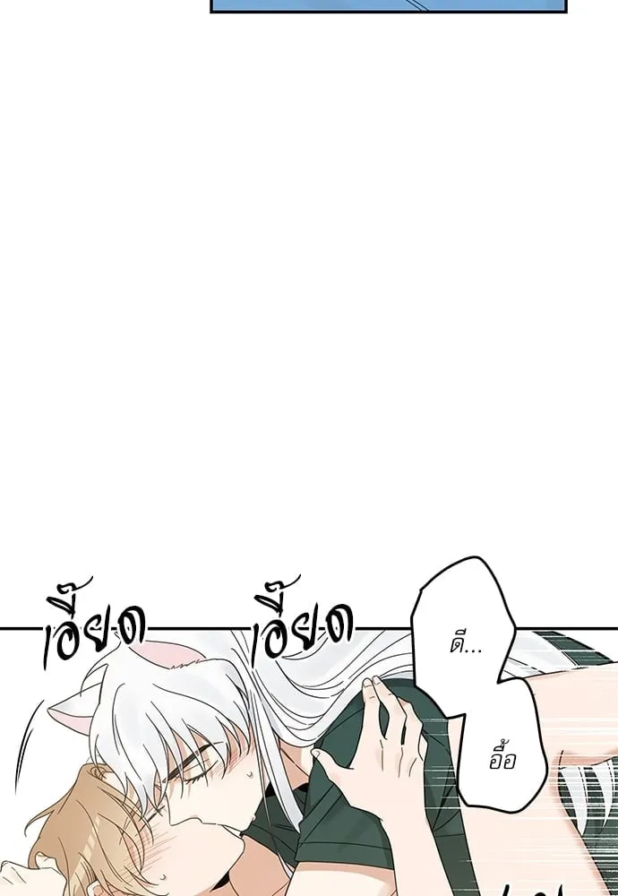 My One and Only Cat ตอนที่ 6424