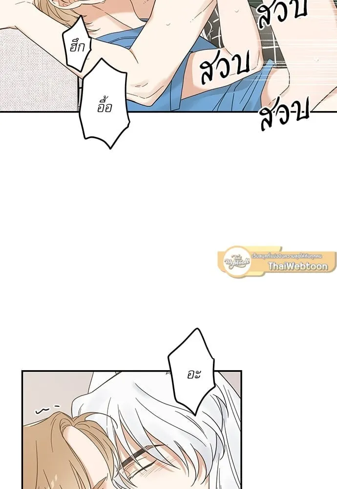 My One and Only Cat ตอนที่ 6425