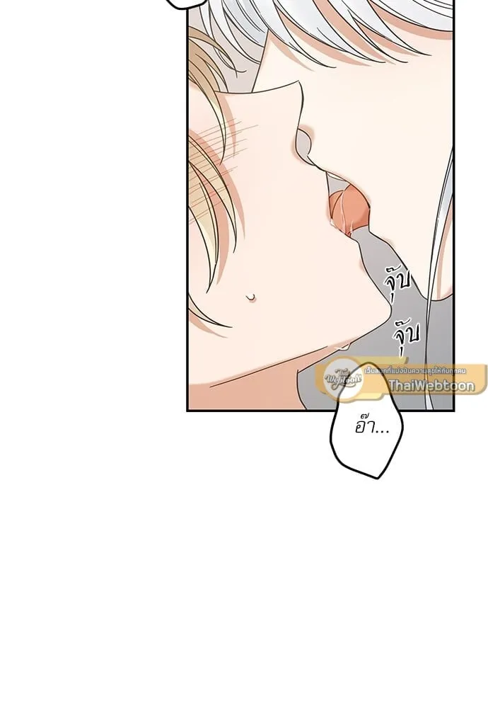 My One and Only Cat ตอนที่ 6427