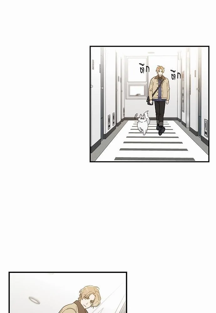 My One and Only Cat ตอนที่ 643 My One and Only Cat ตอนที่ 643