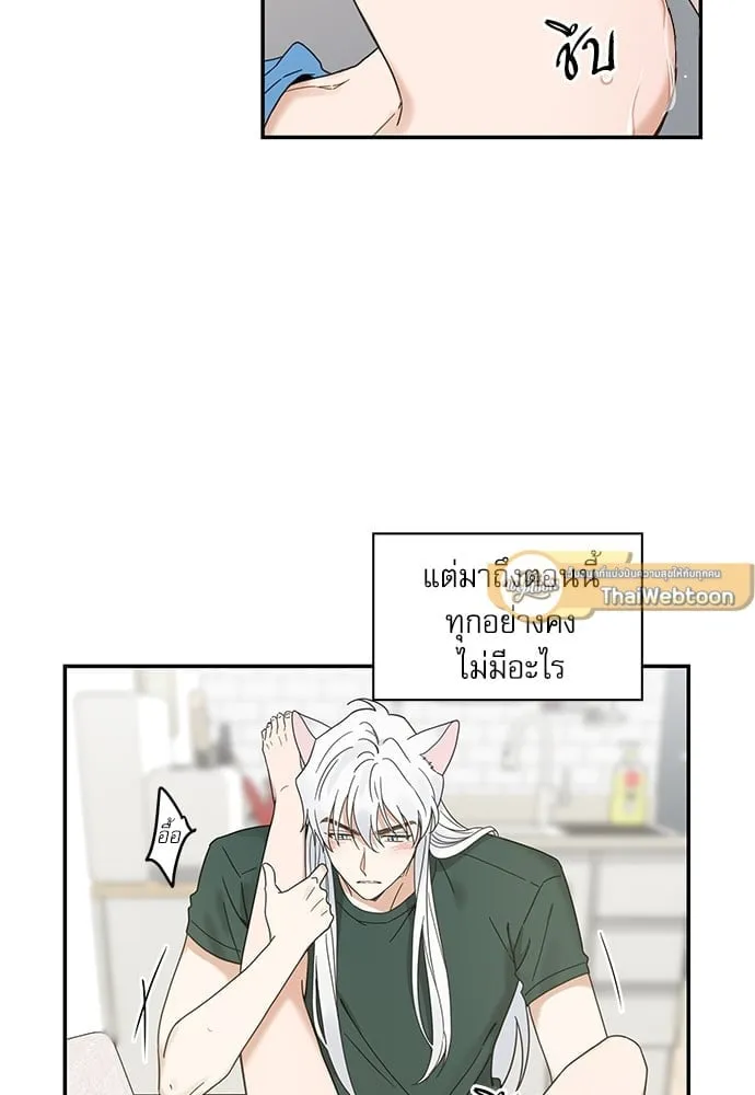 My One and Only Cat ตอนที่ 6431