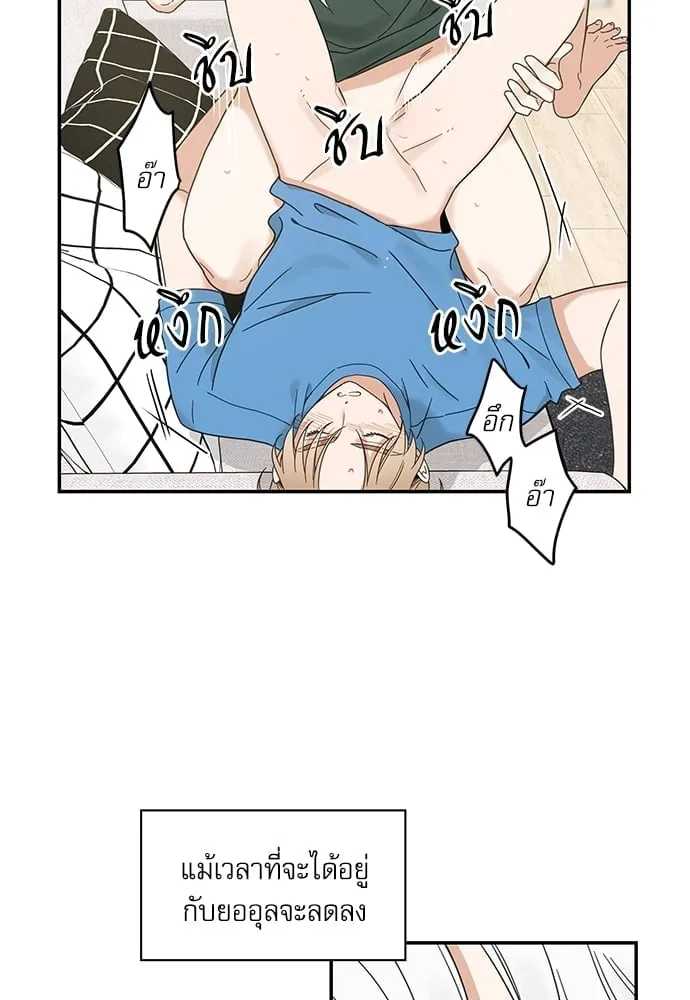 My One and Only Cat ตอนที่ 6432