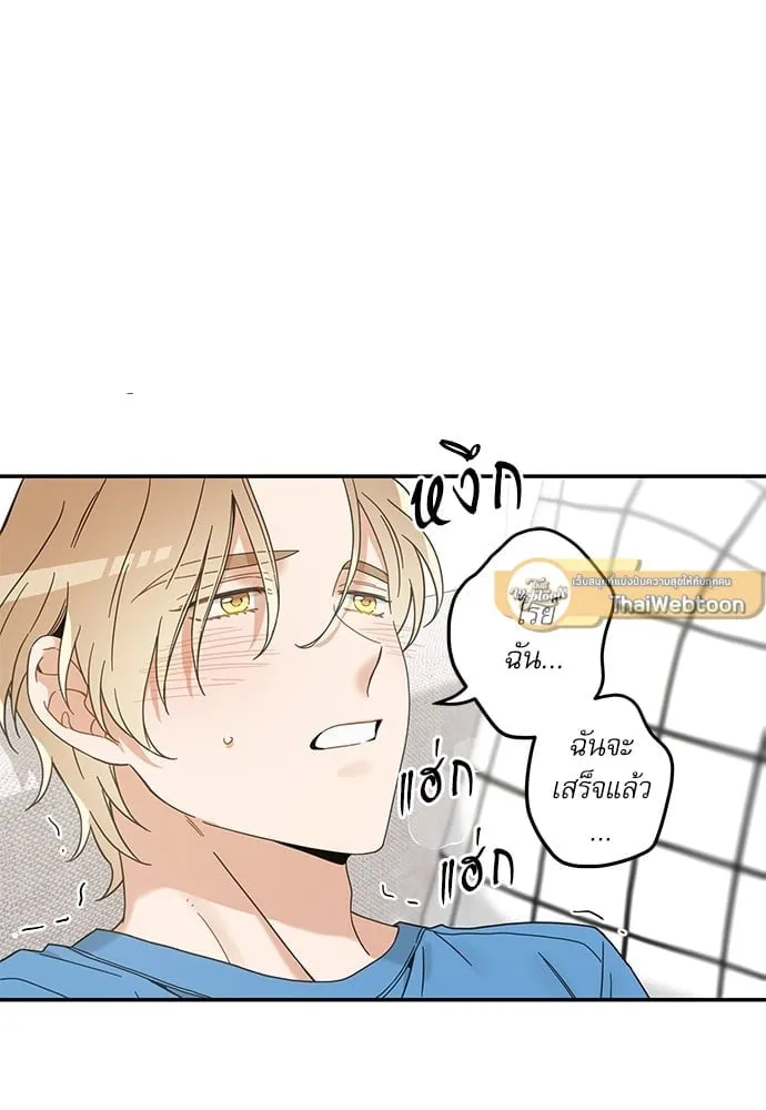 My One and Only Cat ตอนที่ 6434