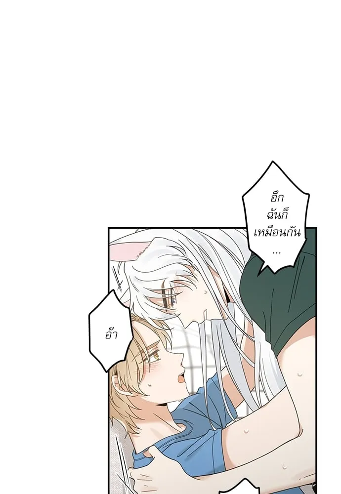 My One and Only Cat ตอนที่ 6435