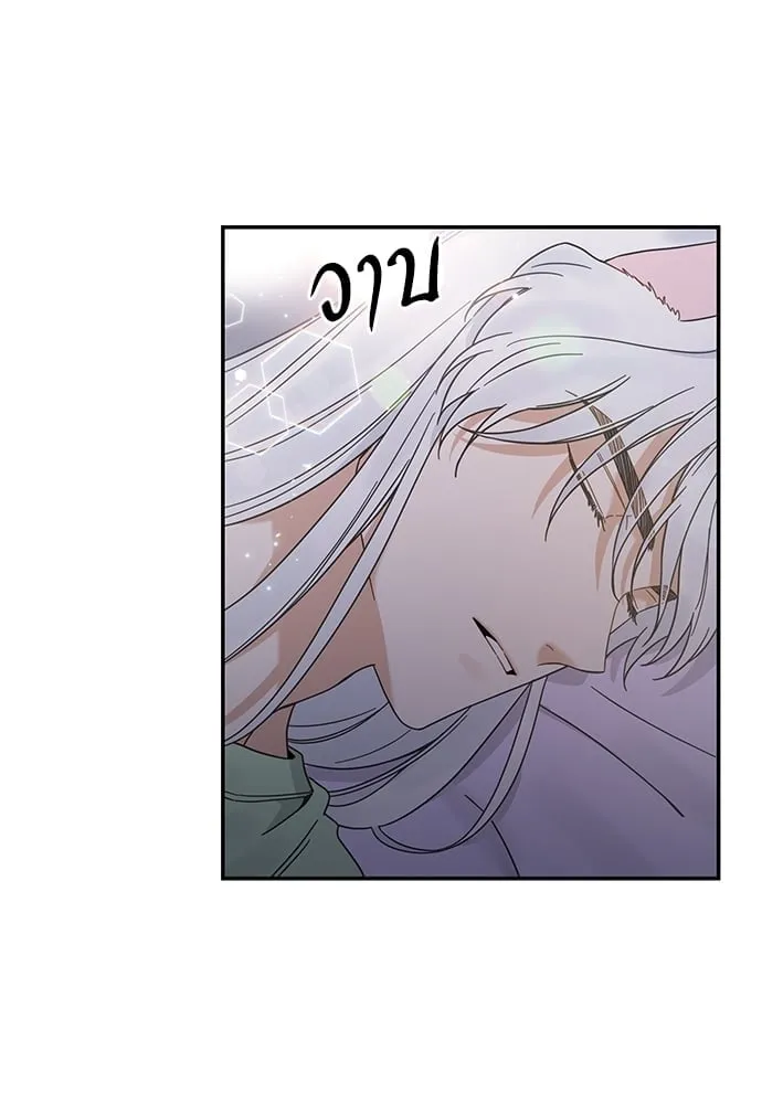 My One and Only Cat ตอนที่ 6441